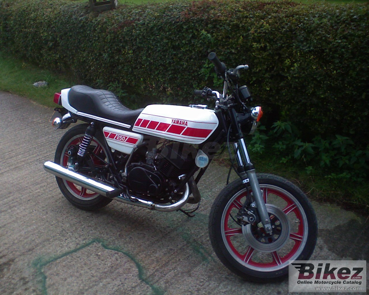 Big  rd 250 picture and wallpaper from Bikez.com
